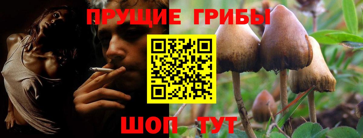 Галлюциногенные грибы Cubensis  Вход с VPN  Курган 