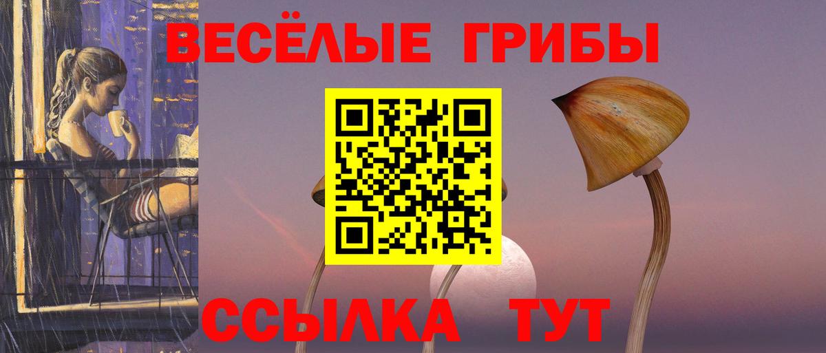 Галлюциногенные грибы MAGIC MUSHROOMS Курган